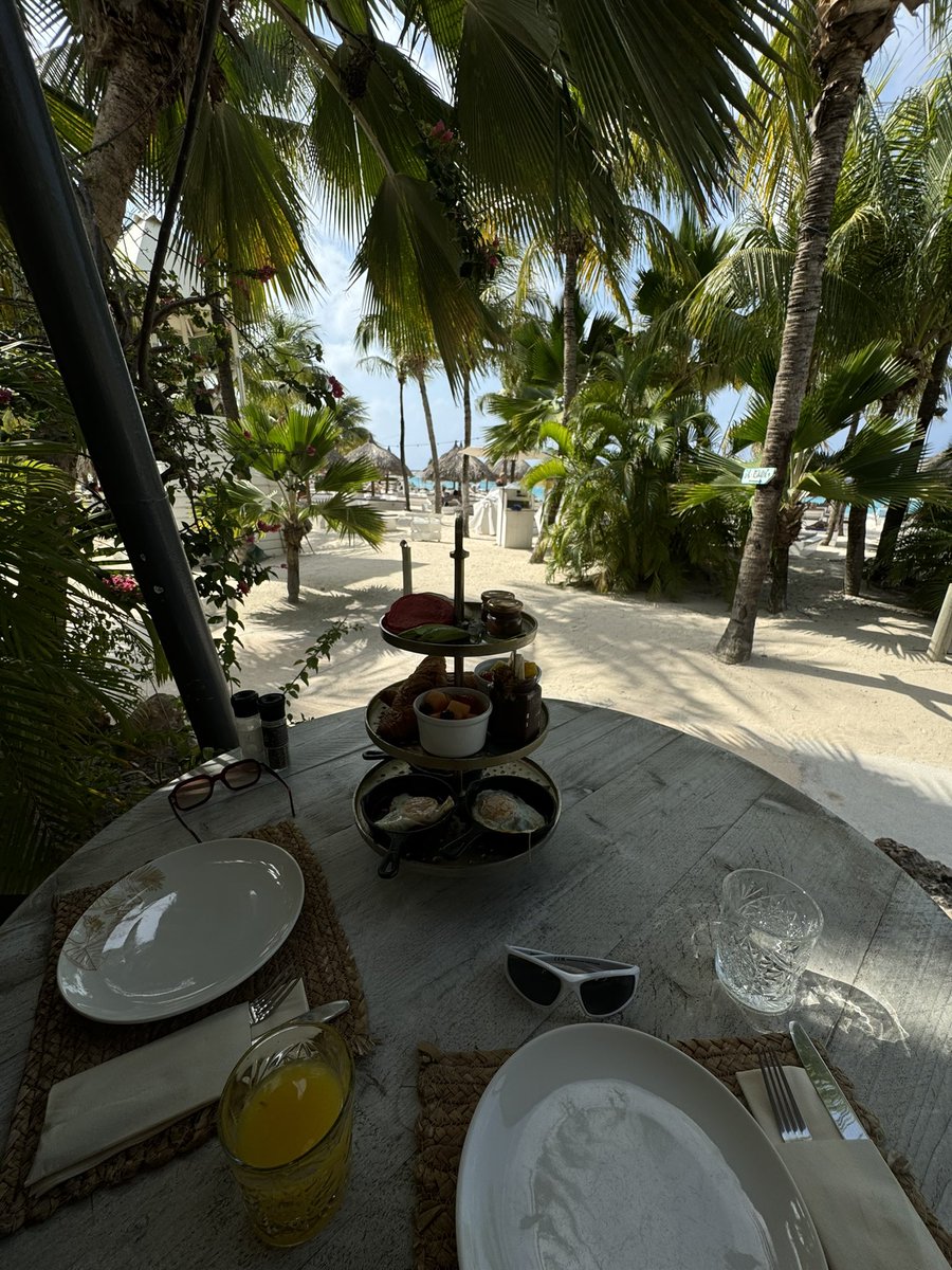 eating breakfast in the Caribbean. crazy how life is. I’m a kid from a small town in Germany with nothing but a dream. Now the dream is reality. Never STOP believing in yourself. #motivation $btc