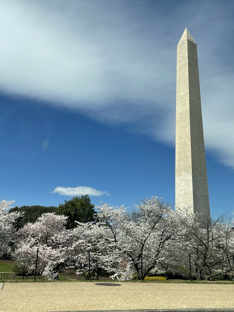 Beautiful day in Washington. Heading from one meeting to another…all space science today.