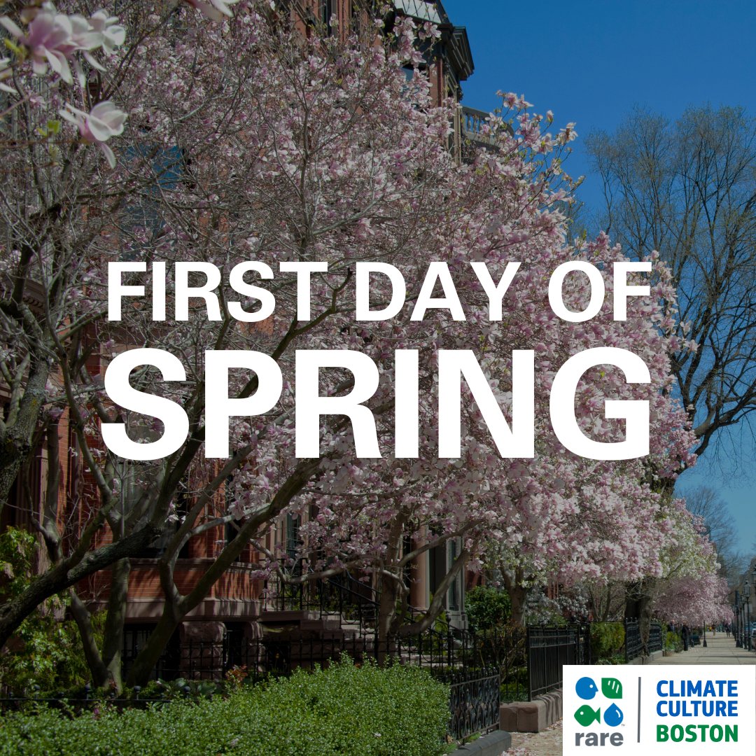 Today is the #FirstDayOfSpring! As we welcome the new season, let’s remember the importance of protecting nature for a sustainable future. Show support and take action today by donating to protect some of the world’s most valuable old-growth forests. bit.ly/46lJqjs