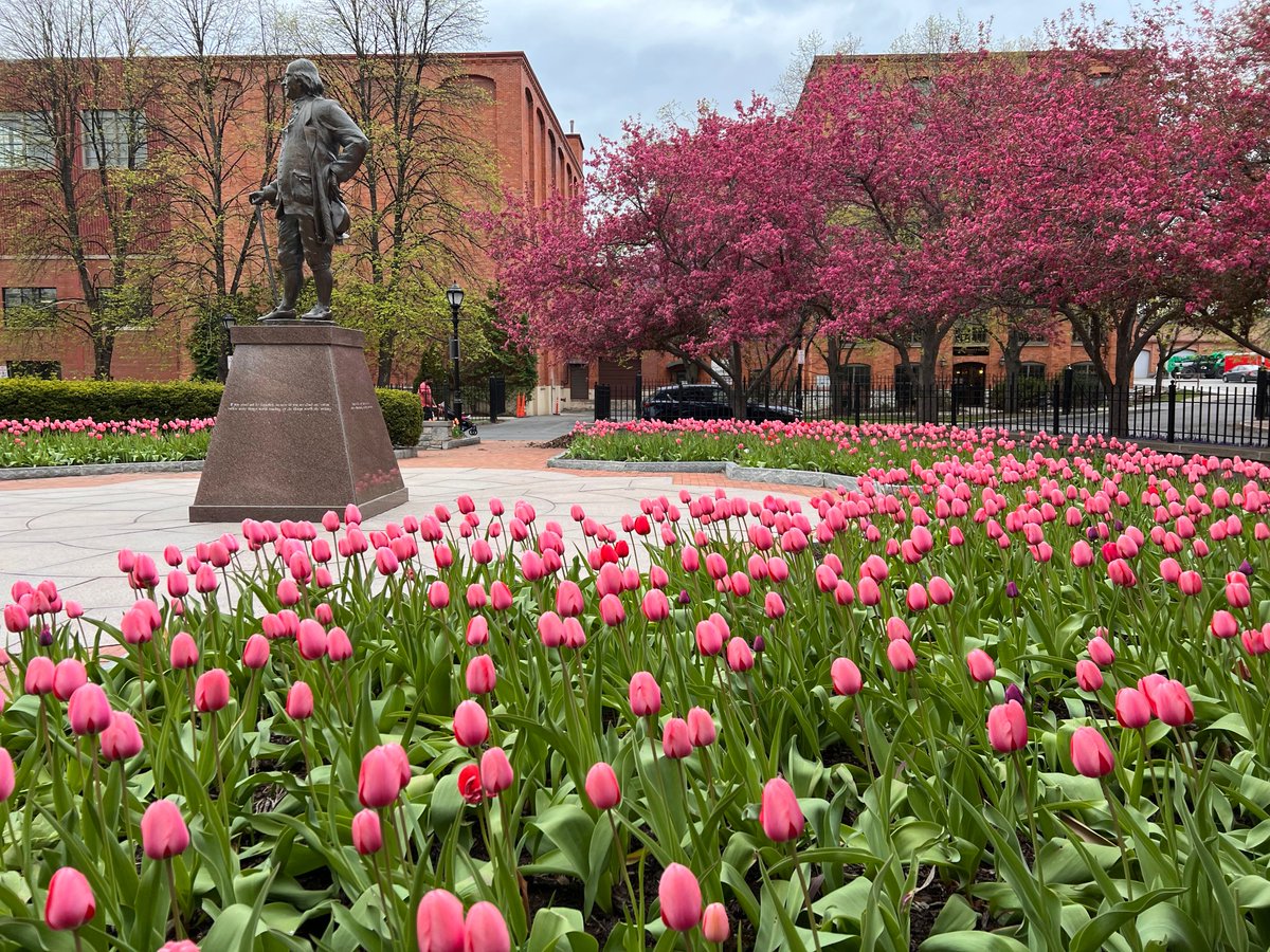 VisitSyracuse's tweet photo. This is Spring in Syracuse, NY. #VisitSyr
#FirstDayOfSpring #SpringIntoSyracuse https://t.co/43Y1JEhIHl