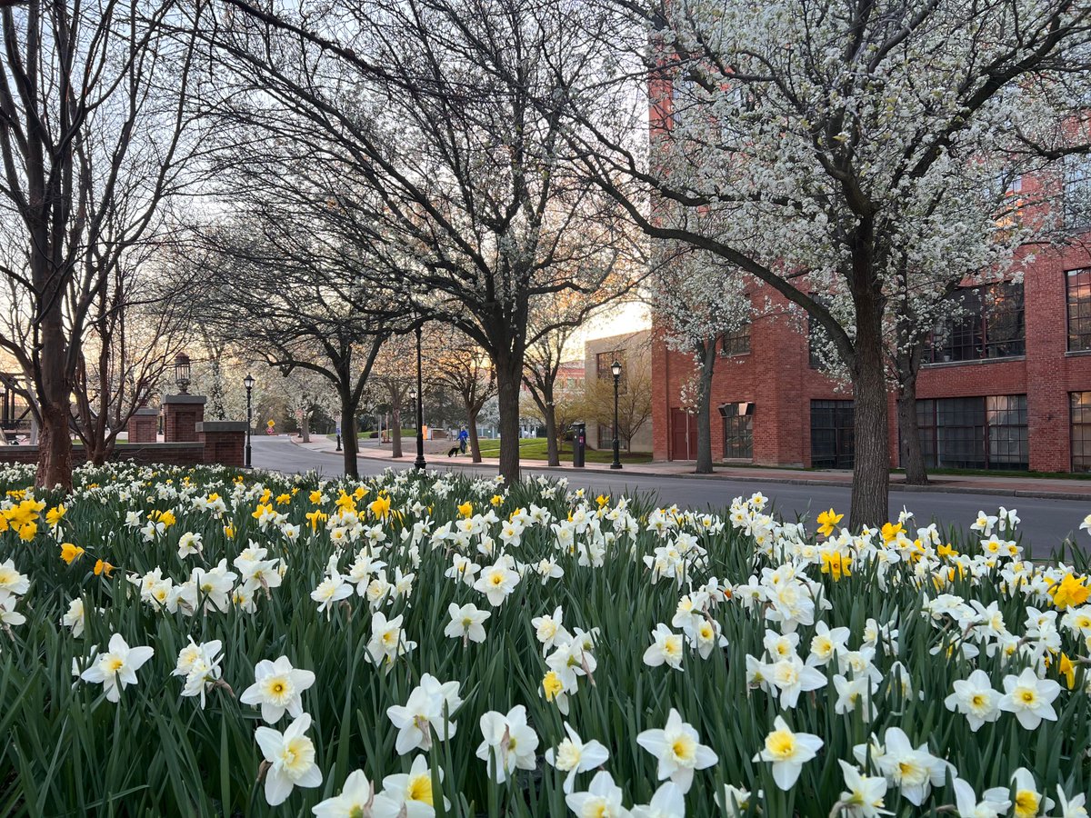 VisitSyracuse's tweet photo. This is Spring in Syracuse, NY. #VisitSyr
#FirstDayOfSpring #SpringIntoSyracuse https://t.co/43Y1JEhIHl