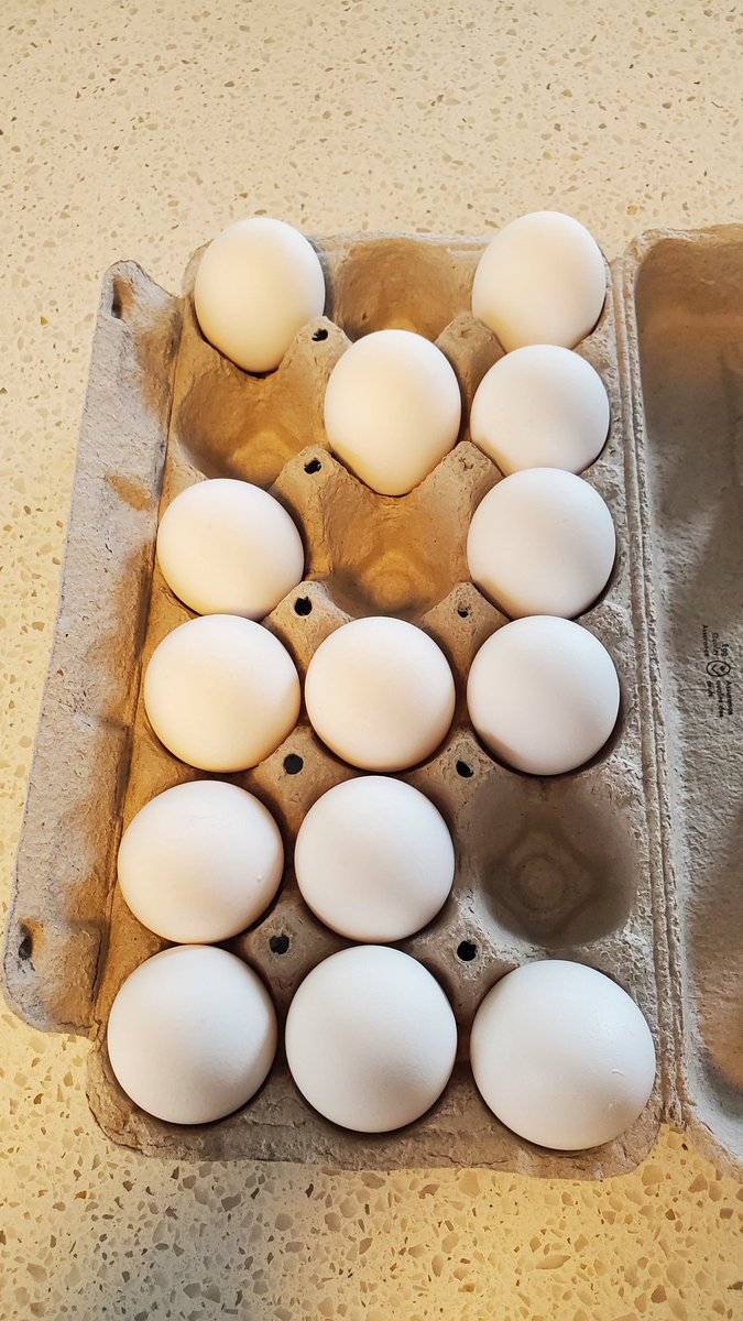 Is this the proper way to take eggs out of the carton? Asking for a friend 
#eggs #ocd #psychopath