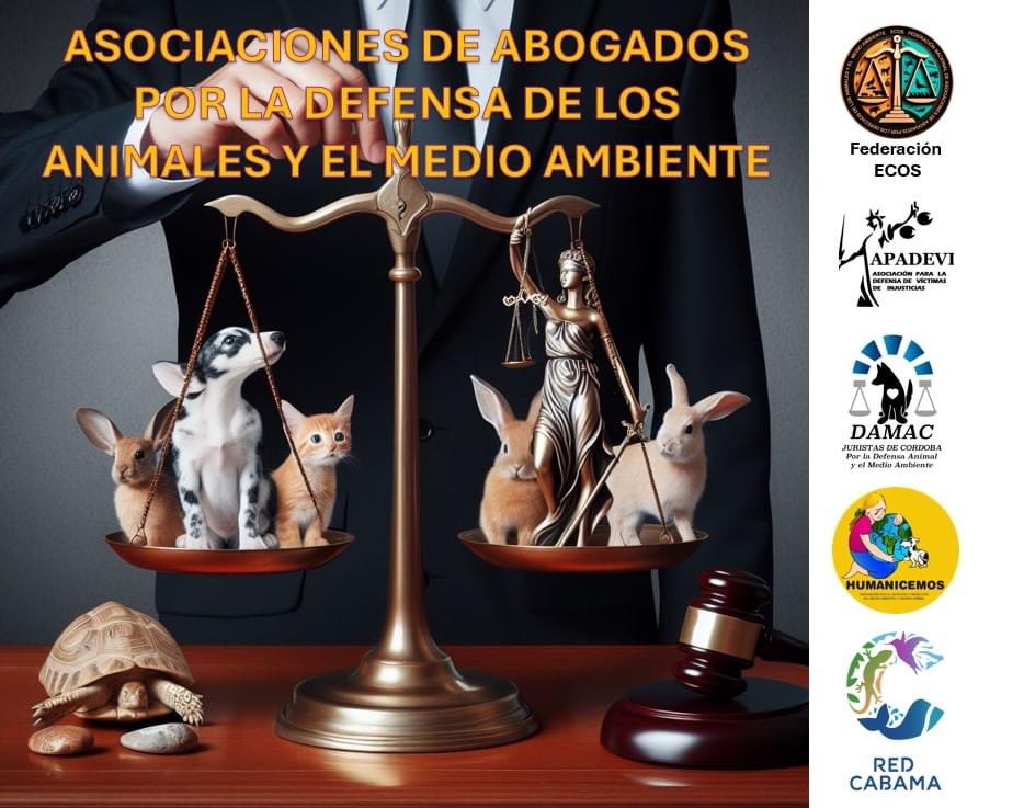 🟠NACE LA FEDERACIÓN NACIONAL DE ASOCIACIONES DE ABOGADOS POR LOS DERECHOS DE LOS ANIMALES Y EL MEDIO AMBIENTE (FEDERACIÓN ECOS)

🟠 Son socios fundadores a las Asociaciones Apadevi, Damac Juristas, Humanicemos y Red Cabama. La Presidencia la ostenta la Abogada María Girona.