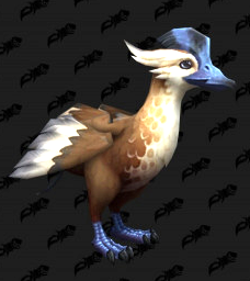 CatscanWow's tweet photo. @warcraft I get the Ardenweald ties to the dream so it's not entirely missing a Dragonflight theme, but after having learned that those feathers hid great power I couldn't help but think... why not duck?! https://t.co/BxoaG0cPlM