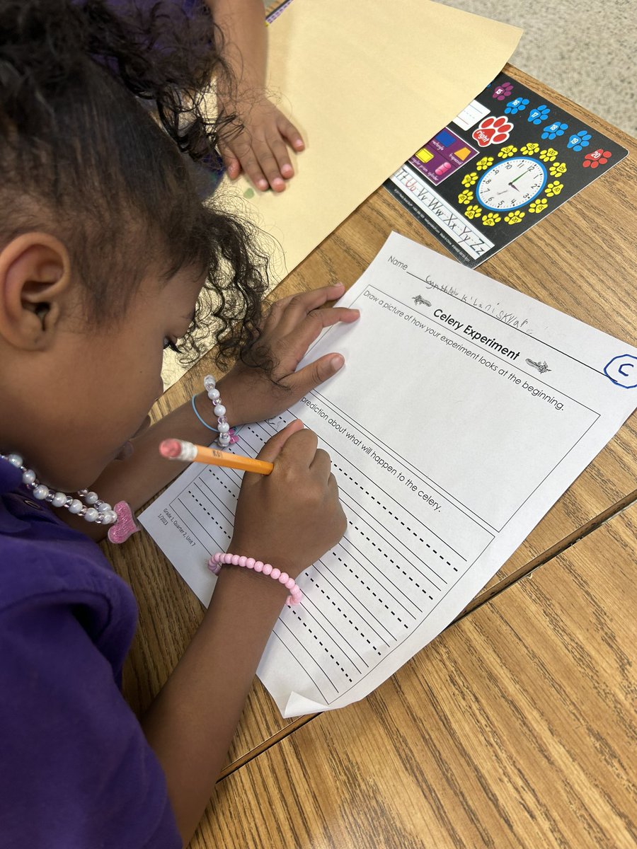 JLauber17's tweet image. Nothing like visiting first grade during an inquiry lesson on plants. These teams became investigators to make predictions about celery. The student engagement was on fire!! @SeatackDream #LivetheDream #DoScience