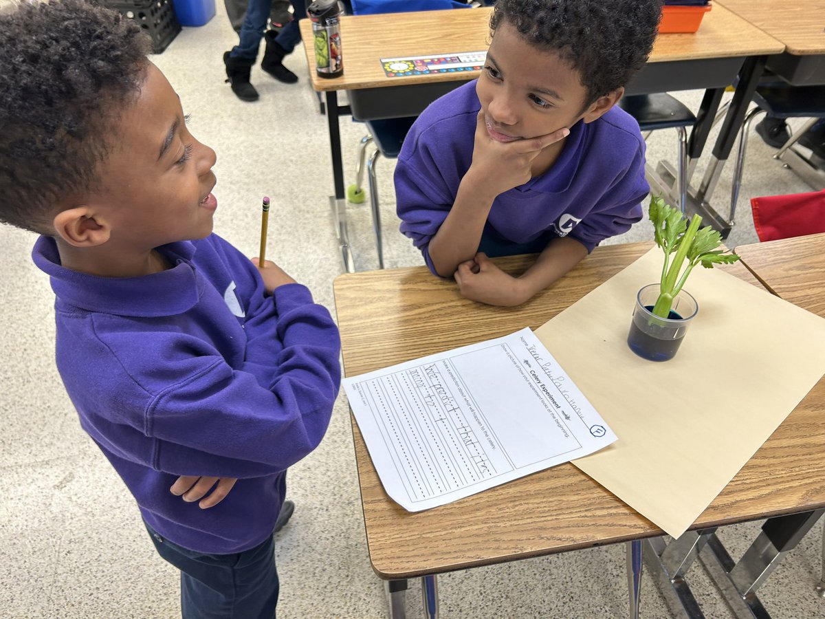 JLauber17's tweet image. Nothing like visiting first grade during an inquiry lesson on plants. These teams became investigators to make predictions about celery. The student engagement was on fire!! @SeatackDream #LivetheDream #DoScience