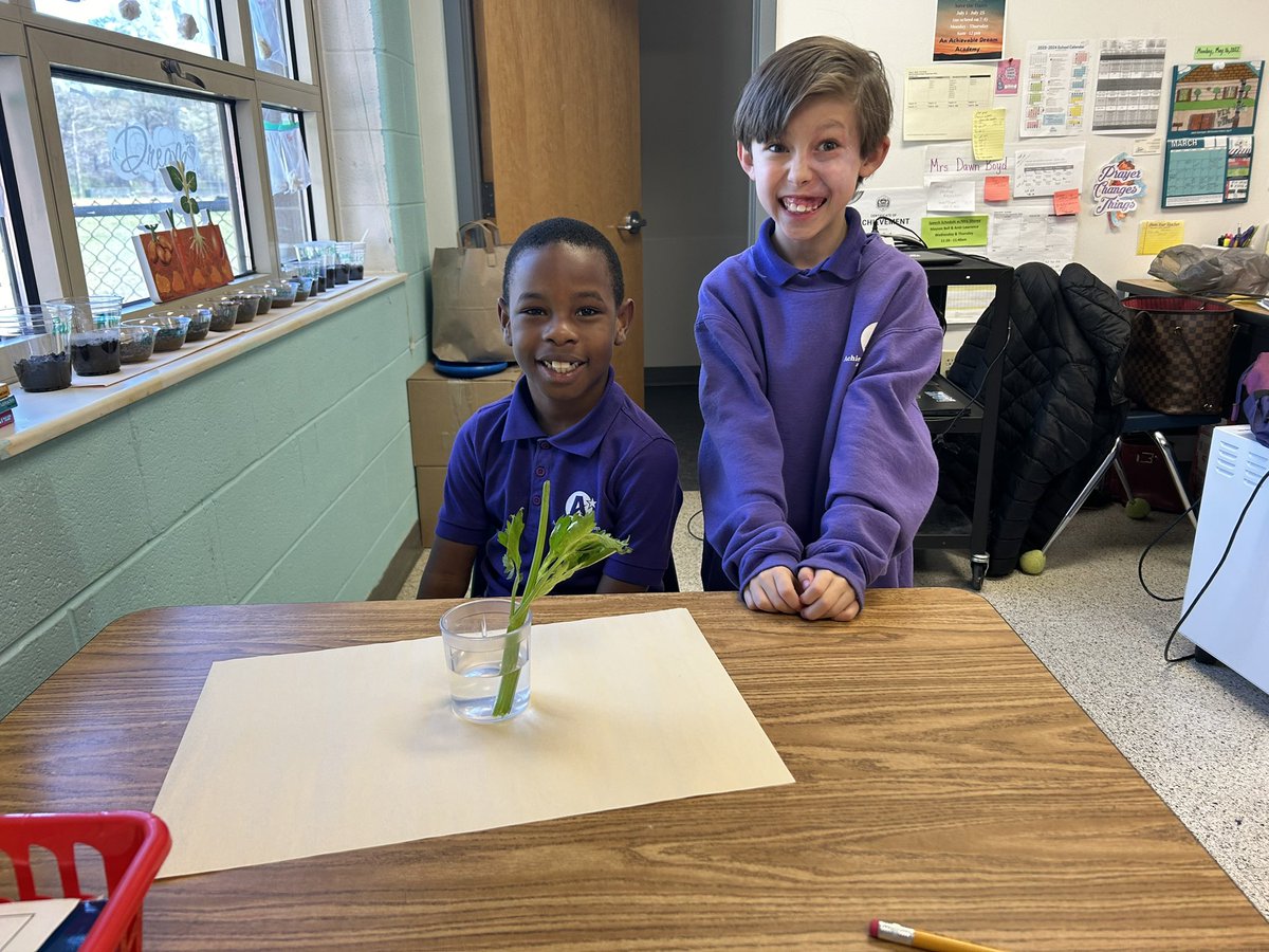 JLauber17's tweet image. Nothing like visiting first grade during an inquiry lesson on plants. These teams became investigators to make predictions about celery. The student engagement was on fire!! @SeatackDream #LivetheDream #DoScience