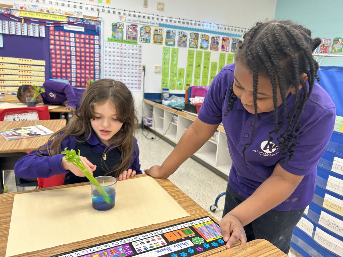 JLauber17's tweet image. Nothing like visiting first grade during an inquiry lesson on plants. These teams became investigators to make predictions about celery. The student engagement was on fire!! @SeatackDream #LivetheDream #DoScience