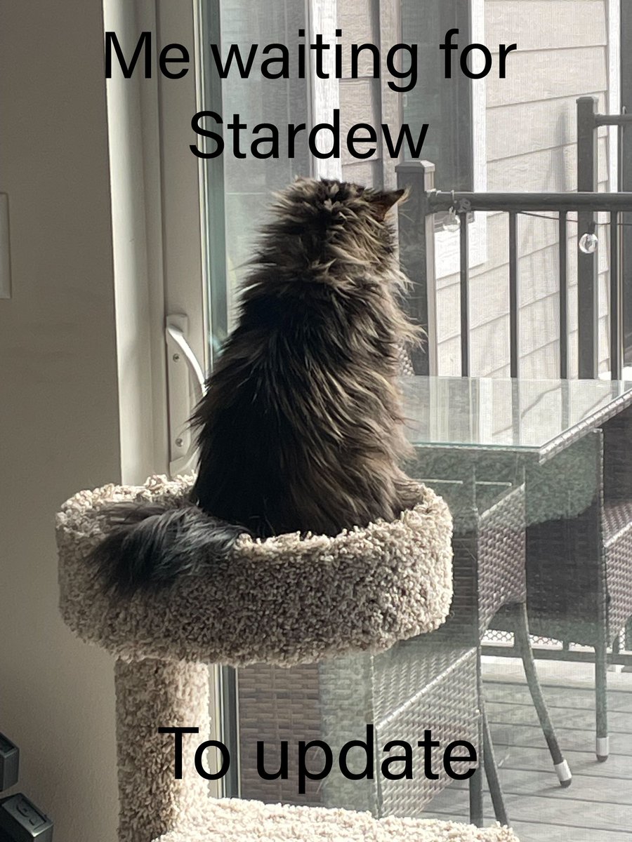 Dark_Gamer18's tweet photo. Happy #StardewValley update day everyone! Please have my cat Stu in meme form once again. https://t.co/WRhEIG09po