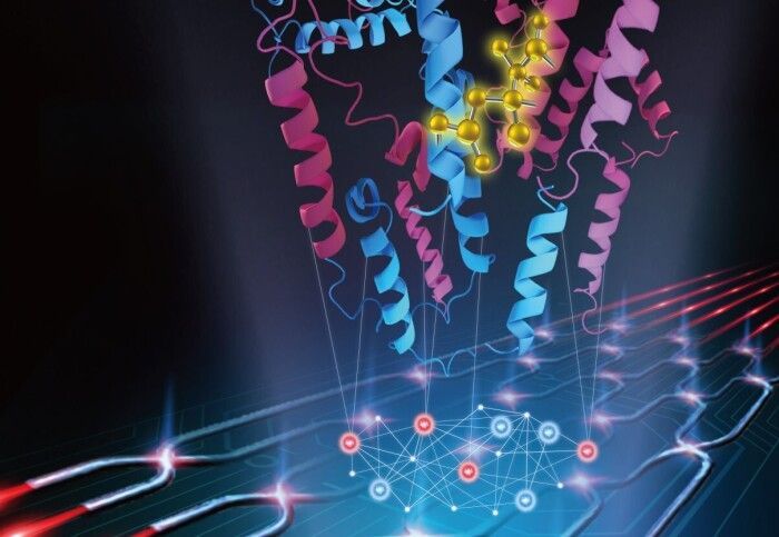 Towards using quantum computing to speed up drug development 
iPharma Expo (Visit for FREE)- ipharmaexpo.com/visitor-regist… 
Read the article- shorturl.at/bOWZ7 

 #pharmaceutical #pharma #event #medical #healthcare #expo #drug #biotech #biopharma