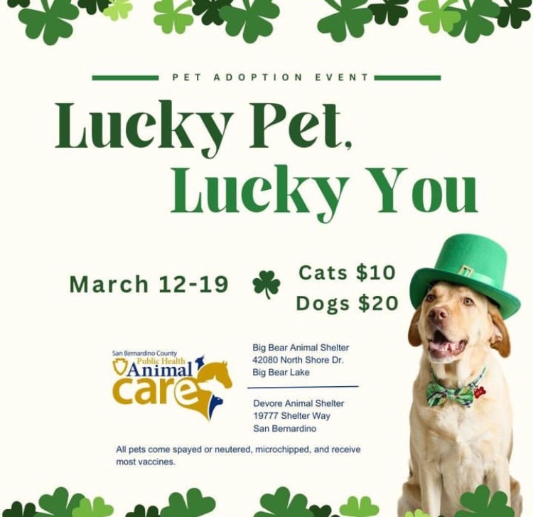 WestEndLondon8's tweet image. #devore #bigbear
San Bernardino County, CA
☘️☘️☘️☘️☘️☘️☘️☘️☘️☘️