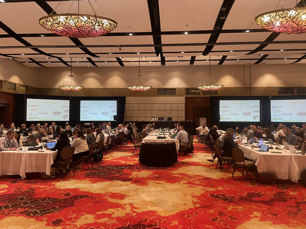 brian rideout tweet media