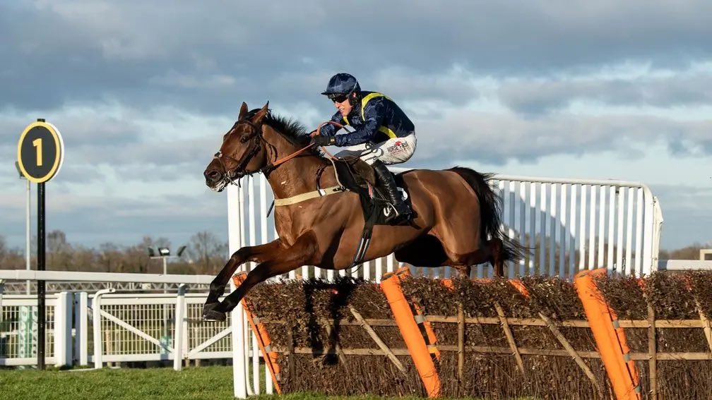 Happy retirement Fiddlerontheroof. Grade 1 winning 2m hurdler who went on to be placed in a Hennessy and a Grand National. What a career he had and some great days out along the way! @PaulTay99931721 @Rodwyer44 @jack_burley 👏👏👏👏👏👏💙💛