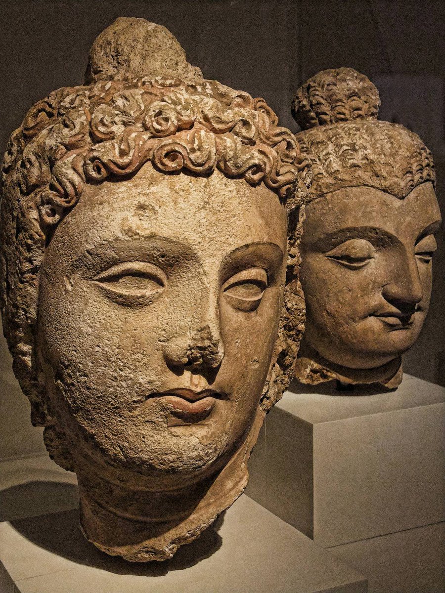 Head of a Bodhisattva, Pakistan or Afghanistan Gandharan region 4th-6th century CE. Stucco with traces of pigment. 
©The Art Institute of Chicago

#Arthistory #art #ArtisticExpression
#visualart #Afghanistan #art #buddhism #Bodhisattva #Pakistan