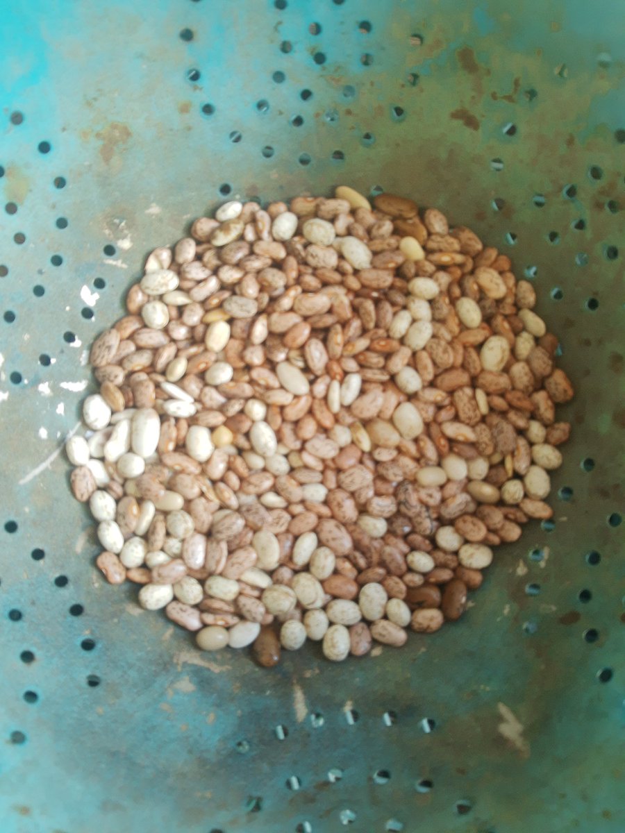 Hugo Marchant tweet media