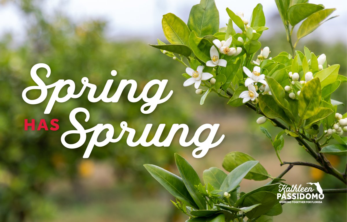 Spring has officially blossomed here in Florida! March is one of the most beautiful times of the year to visit our Gulf Coast. #SpringEquinox