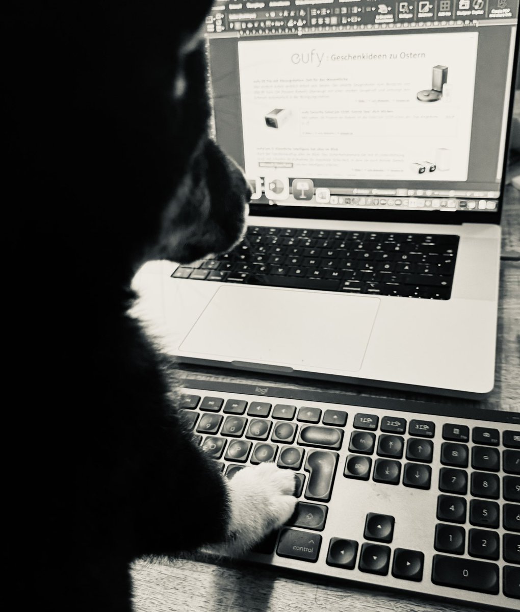 Robert Berg tweet media