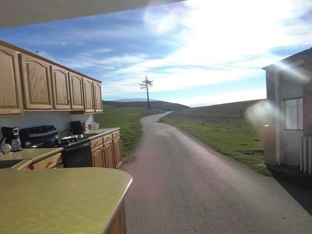 Liminal.Dreamscape tweet media