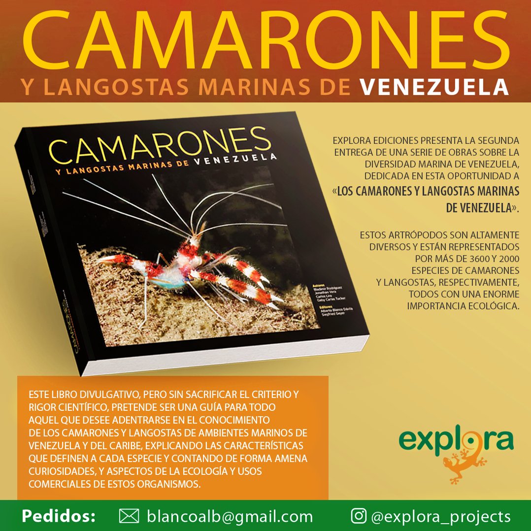 Explora_ABD's tweet photo. LIBRO  ¡YA DISPONIBLE!
CAMARONES Y LANGOSTAS MARINAS DE VENEZUELA 

Por Explora Ediciones.  

Interesados en adquirirlo por favor escribir al siguiente correo: blancoalb@gmail.com https://t.co/i276392ASr