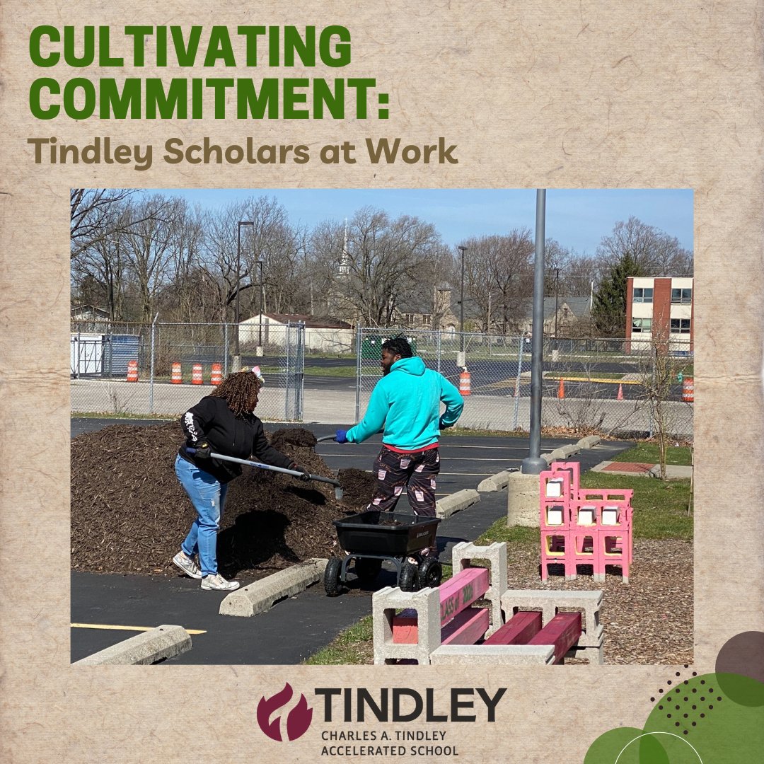 TindleyCATAS's tweet photo. π±π©βπΎ Tindley's BackYard Club is all in this Spring Break! They're prepping our garden, mulching beds, and setting the stage for growth. Dedication blooms here!
#TindleyGardening #SpringBreakService #GreenThumbsAtWork #TindleyBackYardClub https://t.co/rrtBZDIZ2j