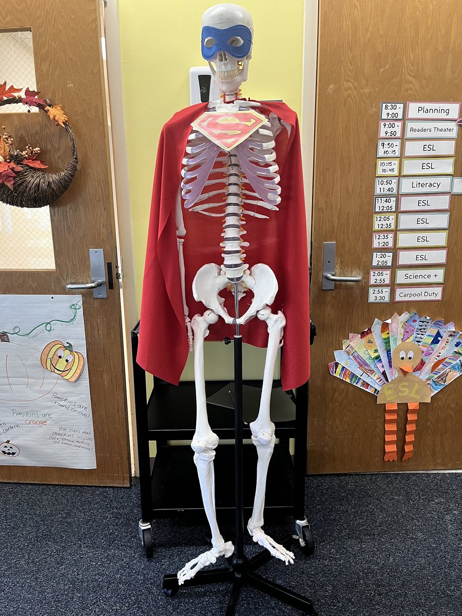 Steve the Superhero Skeleton is dressed up for Tuesday’s theme for spirit week at <a href="/Lead_Mine/">Lead Mine Elementary</a> 🦸🏼‍♂️🦸🏽‍♀️🦹🏾‍♂️🦹🏻