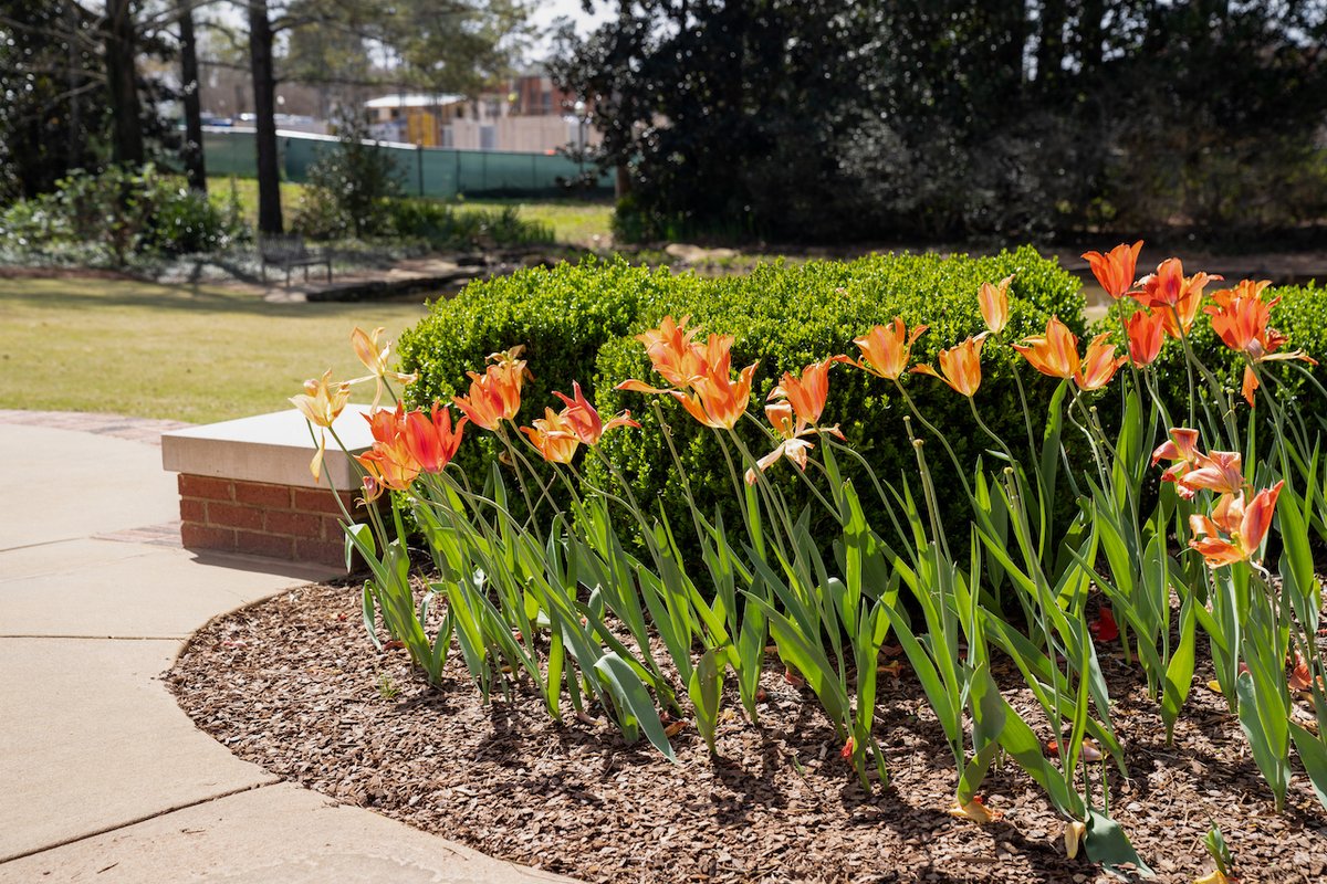 Our love for the Plains is in full blossom. 🧡💐