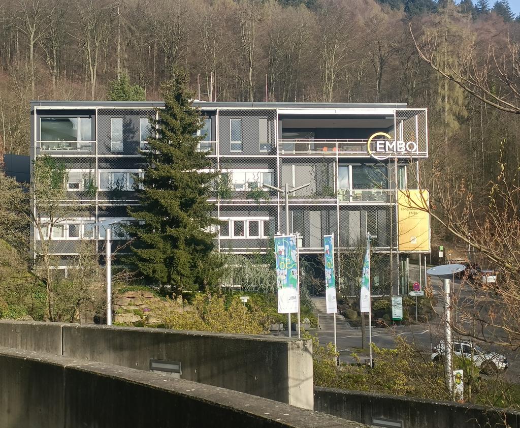 Absolutely thrilled to attend  Biological oscillators: rhythms &amp; synchronisation across scales conference <a href="/EMBO/">EMBO</a> <a href="/EMBLEvents/">EMBL Events</a>. Awesome speakers &amp; great weather!
Grateful to present my work on mathematical modeling of #plant #circadianrhythms @ poster no.71 <a href="/iitgncompbio/">Computational Biology @IITGN</a> #EESBioOsc