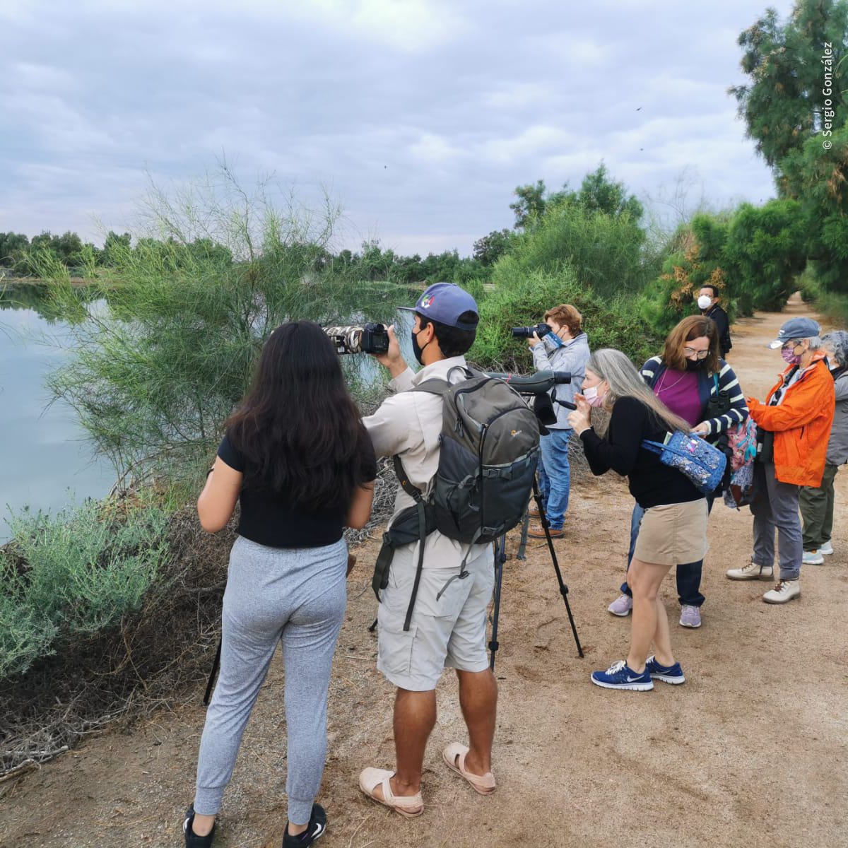 En el marco del Día Mundial del Agua, agenda tu visita al Primer Festival de Aves Playeras que se celebrará en Ensenada de La Paz, Baja California Sur, este 22 y 23 de marzo. Conoce todos los detalles del festival aquí: pronatura-noroeste.org/festival-aves-…