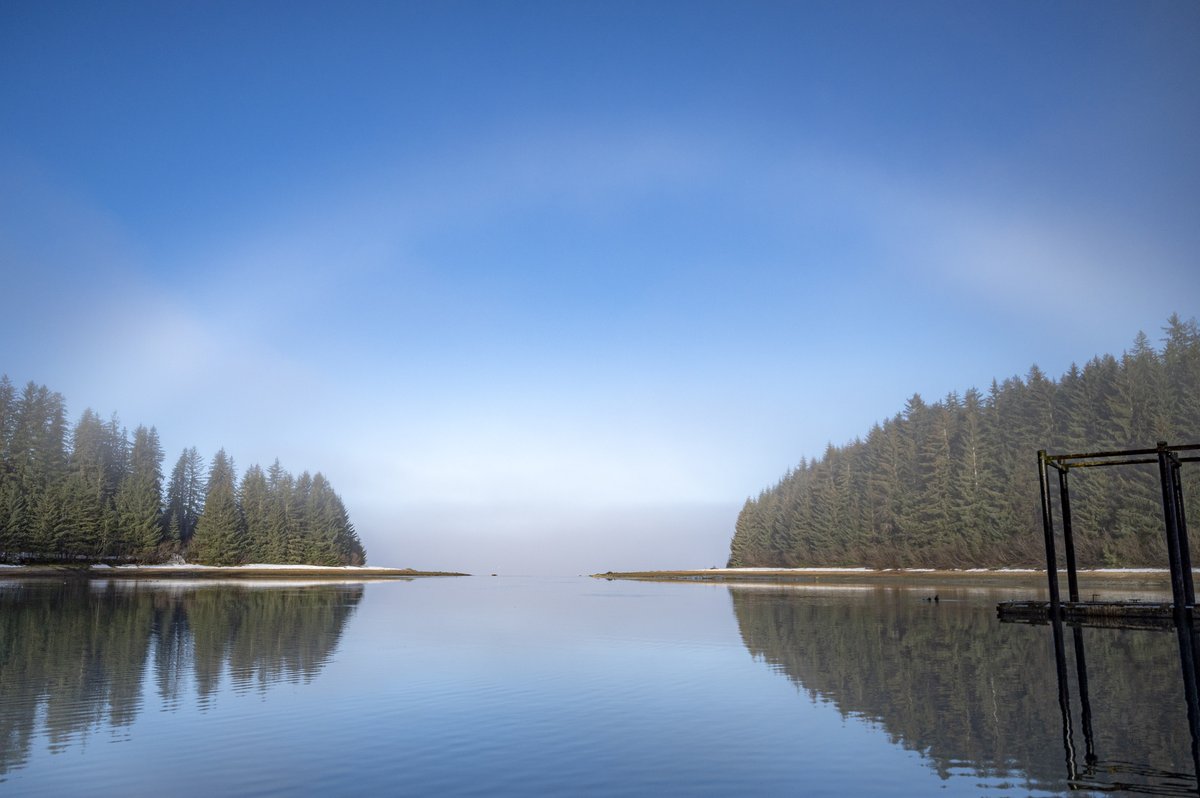 Hello spring and hello sun 🌞 We're enjoying foggy morning sunlight to welcome the spring season. The spring equinox is one of two days a year where nearly everywhere on Earth experiences equal daytime and nighttime. Let's celebrate this connection we all share!