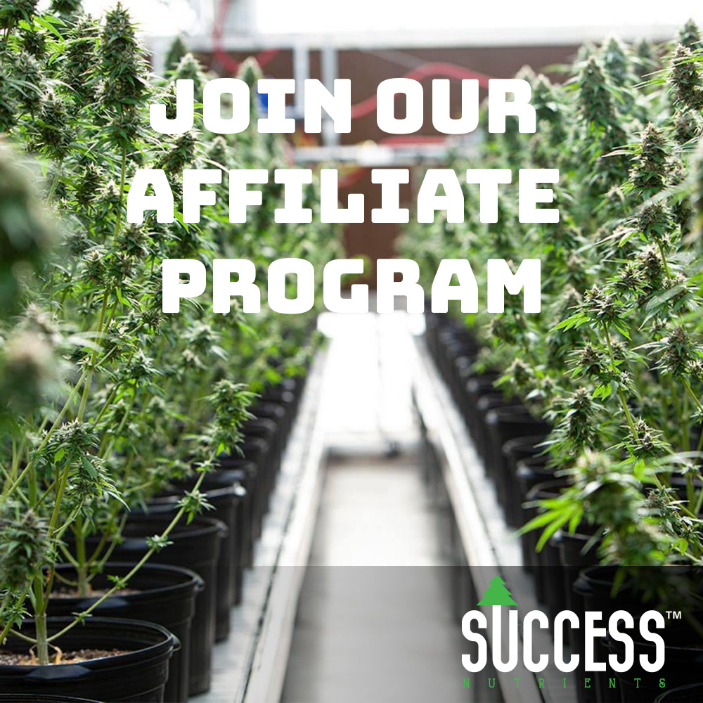 Success Nutrients tweet media