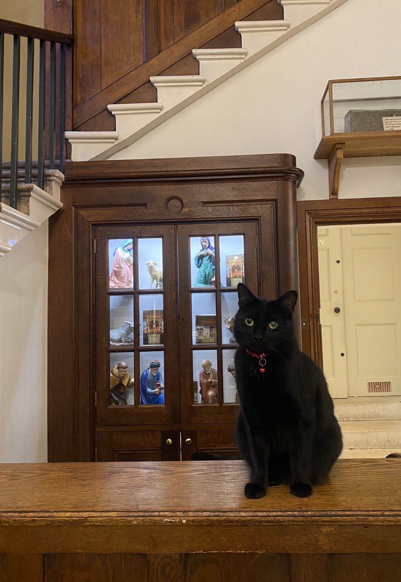 Eliza formally welcomes you to The Actors' Church!

 #cat #ilovecats #fur #purrlove #kitten #catsofinstagram #catslover #meowdels #animalslover  #catsloversworld #belovely #catoftheday #catlove #bestcat  #animalsofig #furs #whiskers  #catography #catsfollowers
