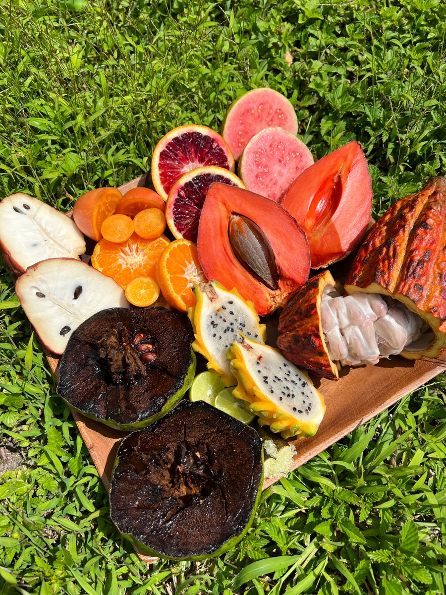 Miami Fruit tweet media
