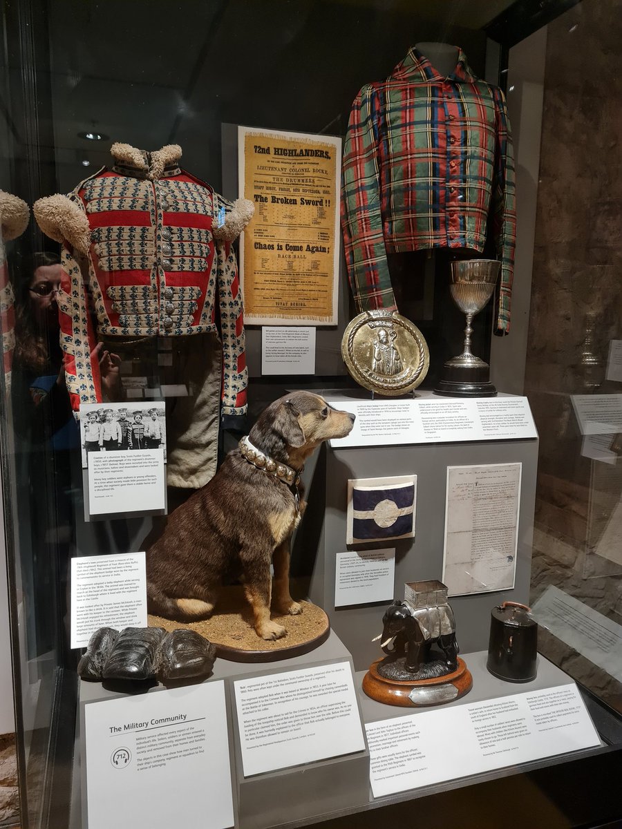 Julieh80's tweet image. Doing my gallery checks this morning and I always make sure that Bob is OK and no wee beasties have sneaked into the case  #BobTheDog nms.ac.uk/explore-our-co…