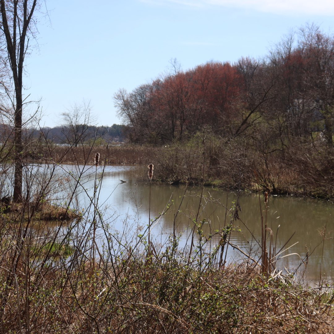 Southeast Ohio Magazine tweet media