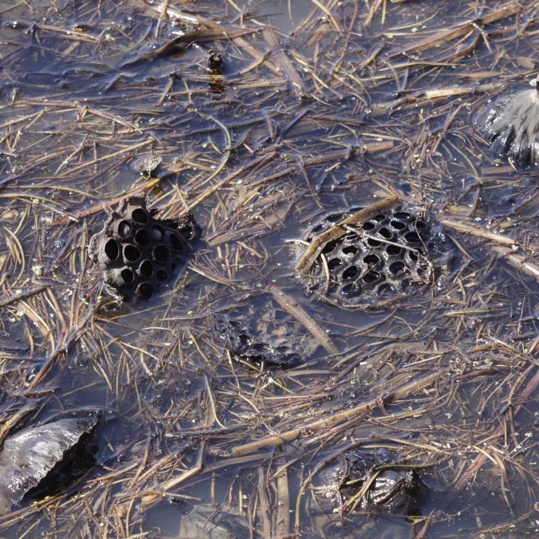 Southeast Ohio Magazine tweet media