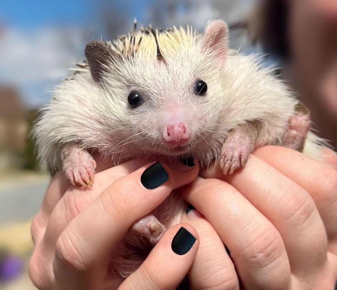 Tuesday 19th March, 2024