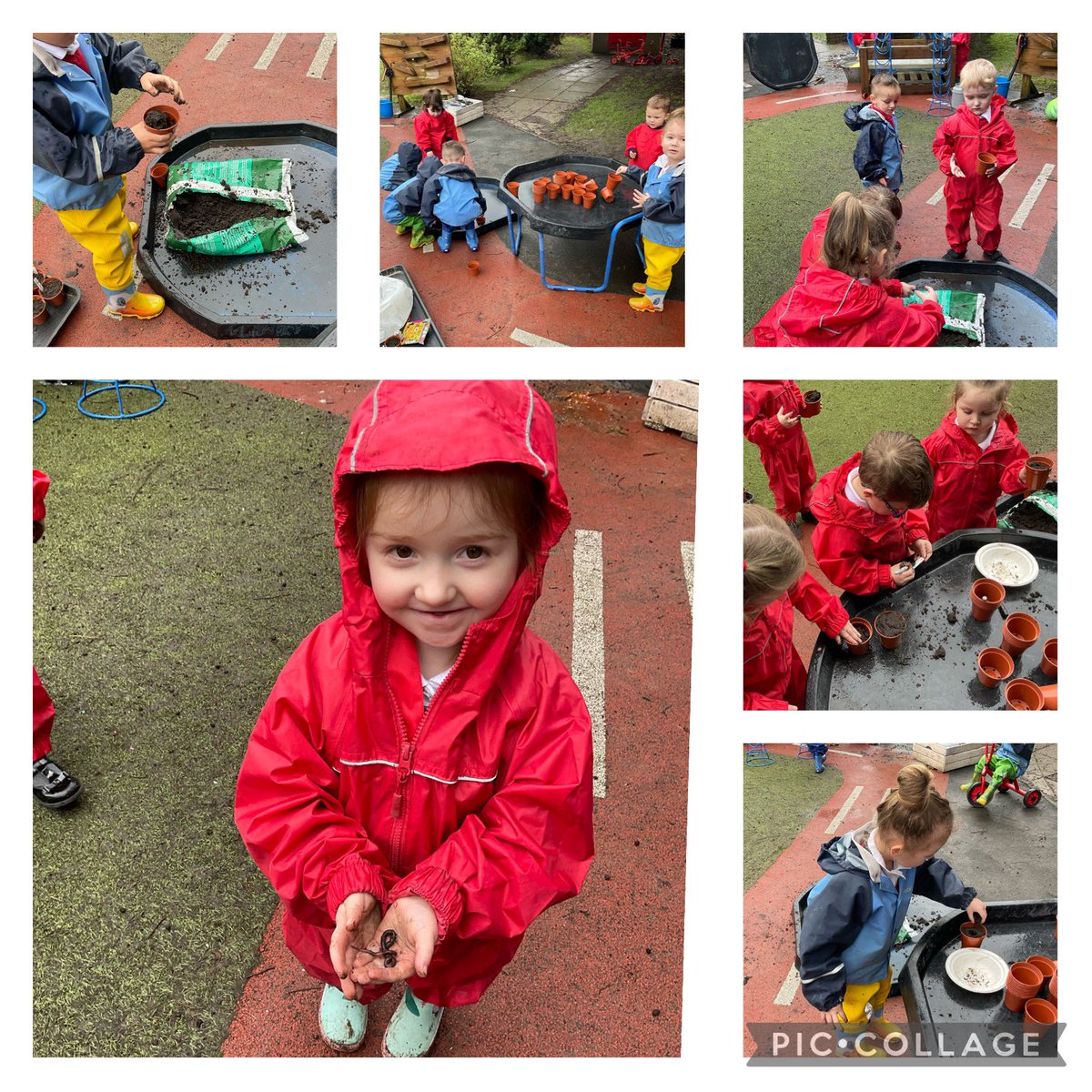 Nursery loved planting their very own sunflower seeds ready to take care of during the Easter Holidays🌻Even the worms came out to have a look! 🪱 @NantYParcSchool