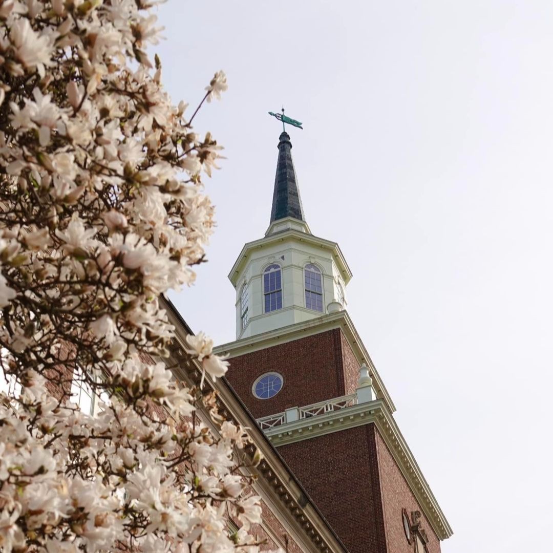 Happy first day of spring, Bearcats! Today marks the spring equinox. We hope you enjoy the incoming spring weather! #CECH