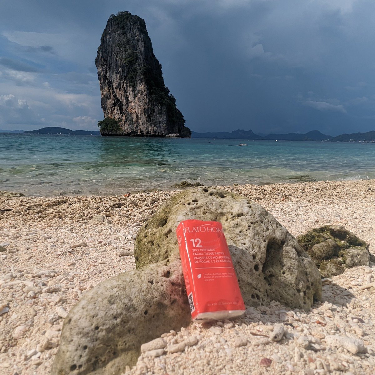 flatohomeprods's tweet photo. From the bustling city to the tranquil Thai shores – Flato Home paper products make waves wherever you go. 🌊 

#FLATOHOME #bamboo #shopnow https://t.co/j3ZaoRw2tp
