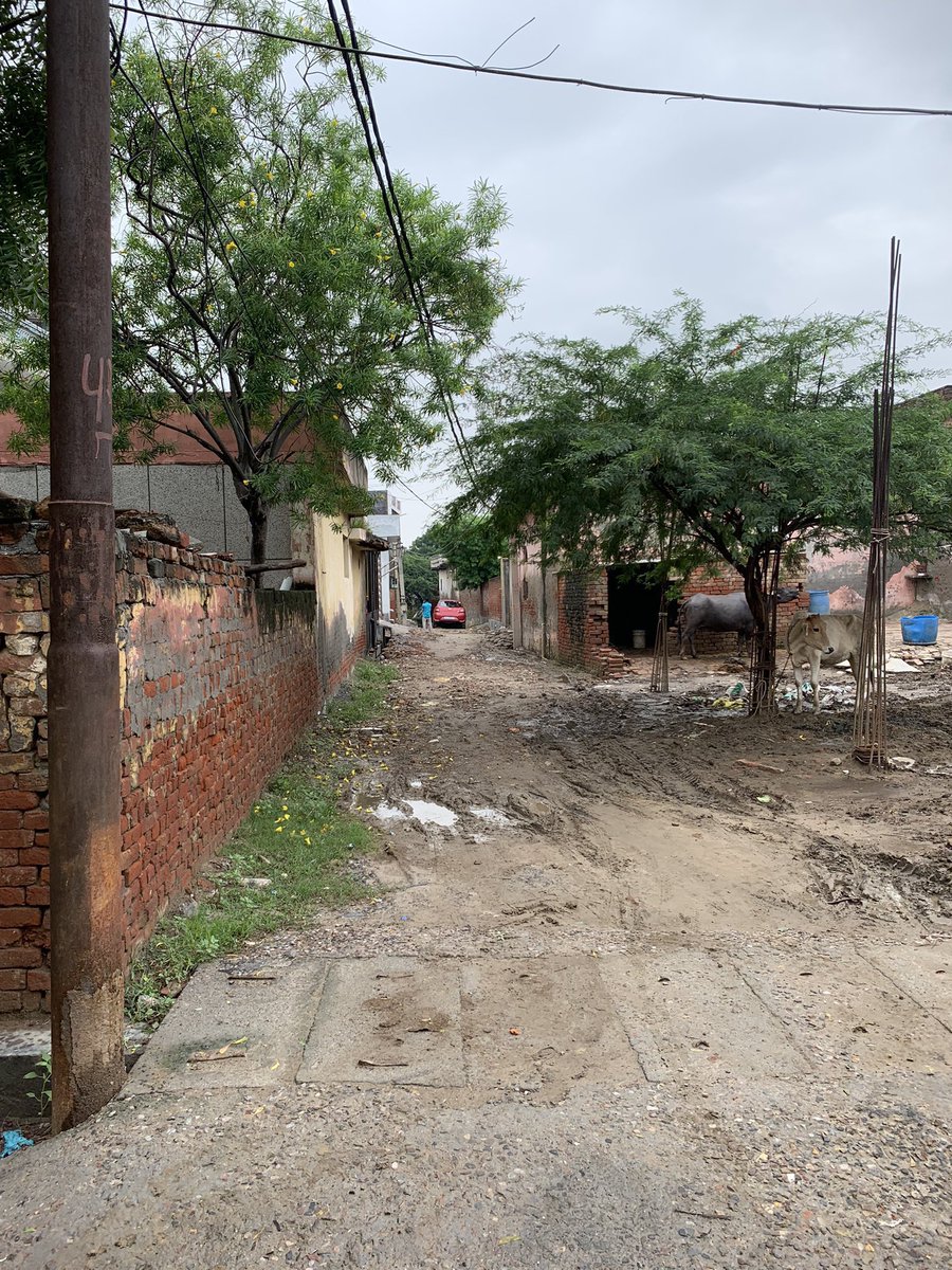 सोरखा पोल न:426/4 इस गली मे सीवर और पानी की लाइन आजसे क़रीब पाँच सात साल पहले डल गये थे।पर आजतक रोड़ नहीं डला ।लोगो को बहुत प्रेसानी का सामना करना पड़ रहा है  क्या इस गली मे काम होगा या <a href="/noida_authority/">NOIDA Authority</a> एसे ही घुमाती रहेगी <a href="/myogioffice/">Yogi Adityanath Office</a> <a href="/Noidatimes22/">Noidatimes</a>