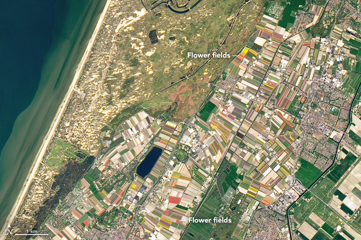 Wake up with a spring in your step? Us too!🌷

Today is the first day of spring in the Northern Hemisphere. During the March equinox, the Sun will pass directly above the equator, shining equal amounts of daylight in the Northern and Southern hemispheres. go.nasa.gov/3TgR4Xy