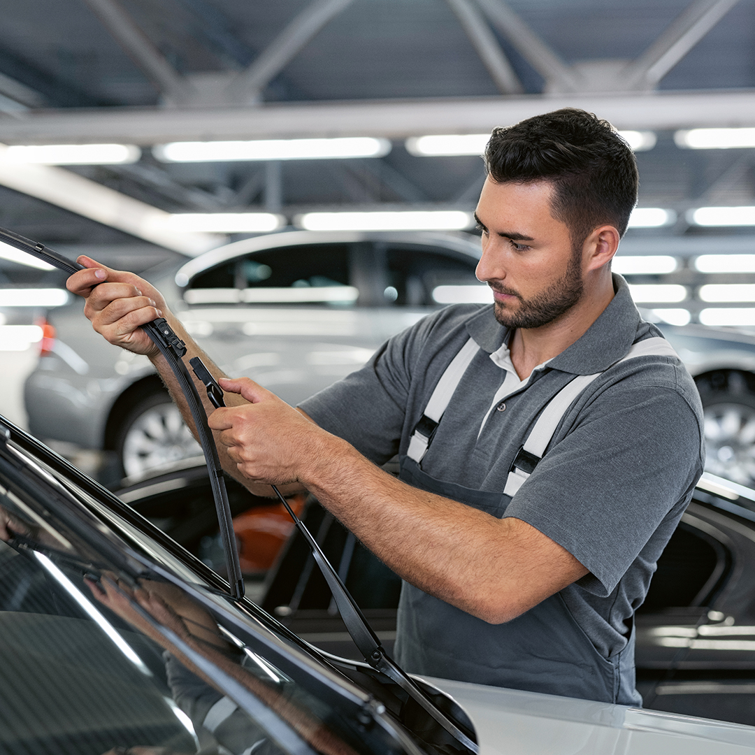BMWNorthfield's tweet photo. Your BMW is built for performance – keep it that way with BMW Value Service. Only BMW Trained Technicians. Only Original BMW Parts. Only from BMW.
Schedule your next BMW Service @ https://t.co/Y31D7oegeY
--
#BMW #FieldsBMW #BMWParts #BMWValueService https://t.co/s2Dd4oTcMA