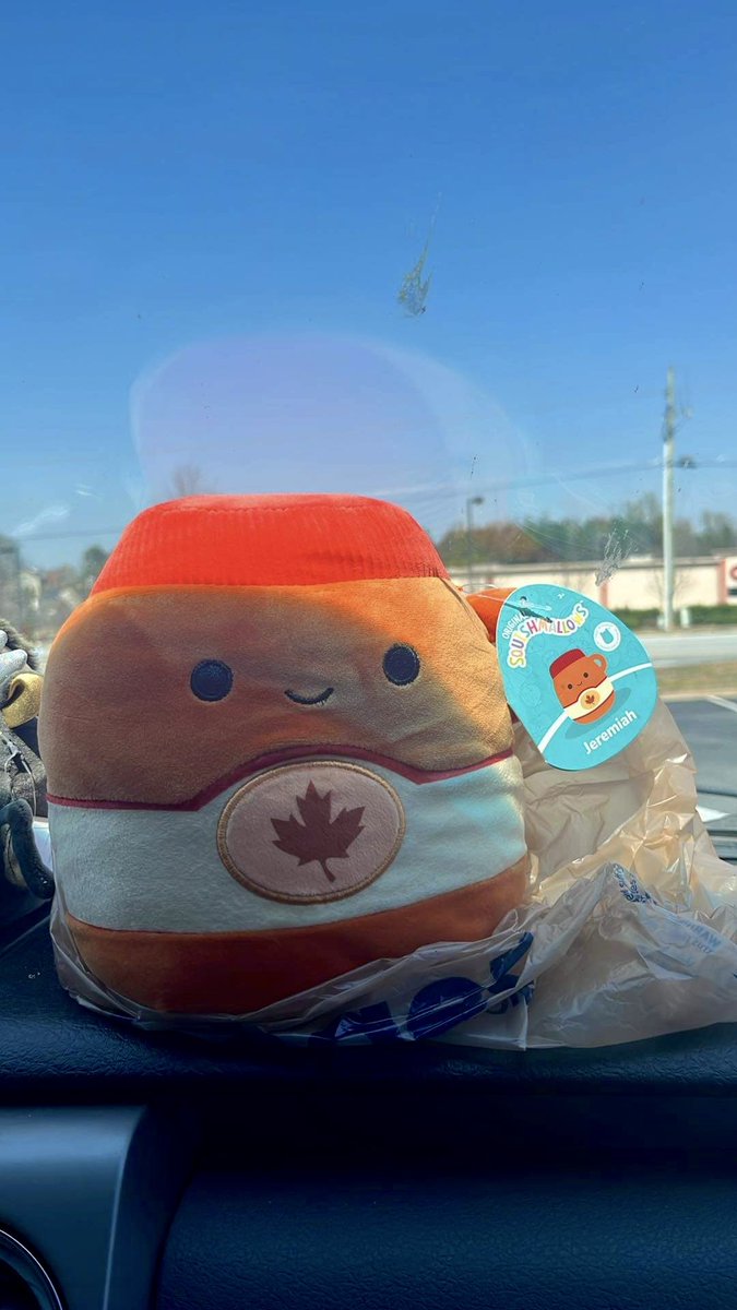 KittyKatSquishies tweet media