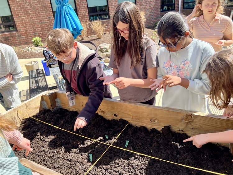 ButtsRoadInt's tweet photo. BRI's first student-led gardening club lunch bunch met in the courtyard today.  They planned out their sections, labeled with 3D printed tags, planted seeds, &amp; watered them.  They learned about soil, spacing, and the magic of banana water.  #SOARingHighatBRI https://t.co/ziY685HcgZ