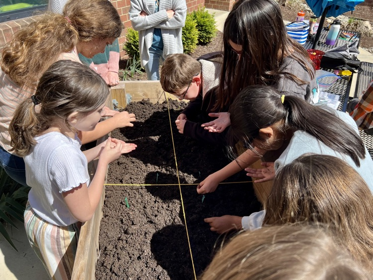 ButtsRoadInt's tweet photo. BRI's first student-led gardening club lunch bunch met in the courtyard today.  They planned out their sections, labeled with 3D printed tags, planted seeds, &amp; watered them.  They learned about soil, spacing, and the magic of banana water.  #SOARingHighatBRI https://t.co/ziY685HcgZ