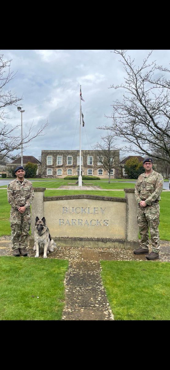 This week, we bid farewell to our CO, Lt Col Amar Bhundia. Thank you for your dedicated service over the past two years. Your efforts and leadership have had a profound impact on 9 RLC.

Lt Col Bhundia will be handing over to Maj Harold who will be stepping up from Regt’l 2IC.