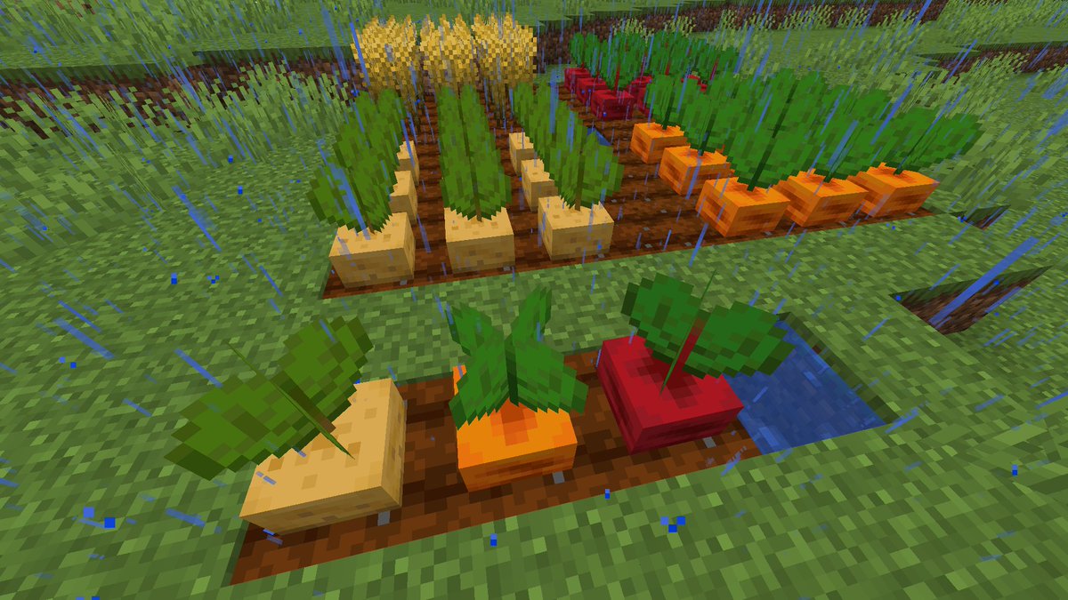 Bontiful tweet media