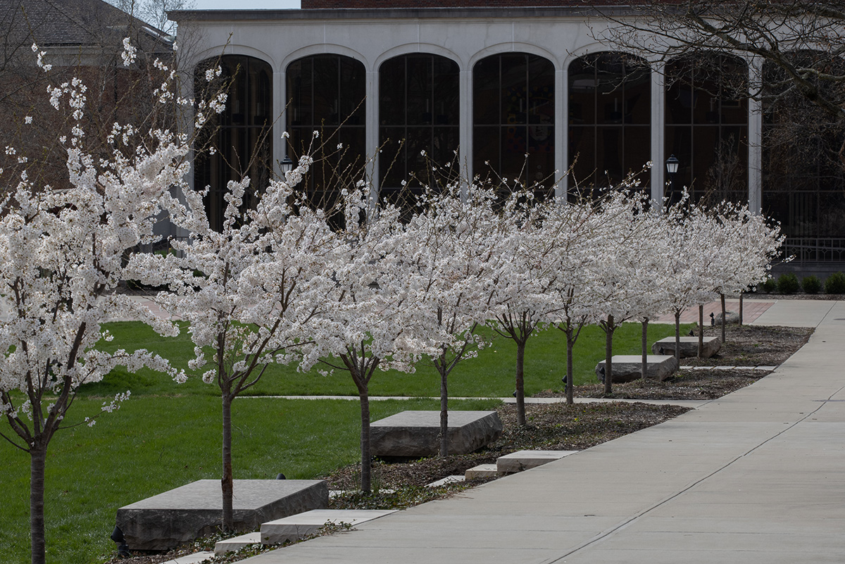 Happy first day of spring! 🌷