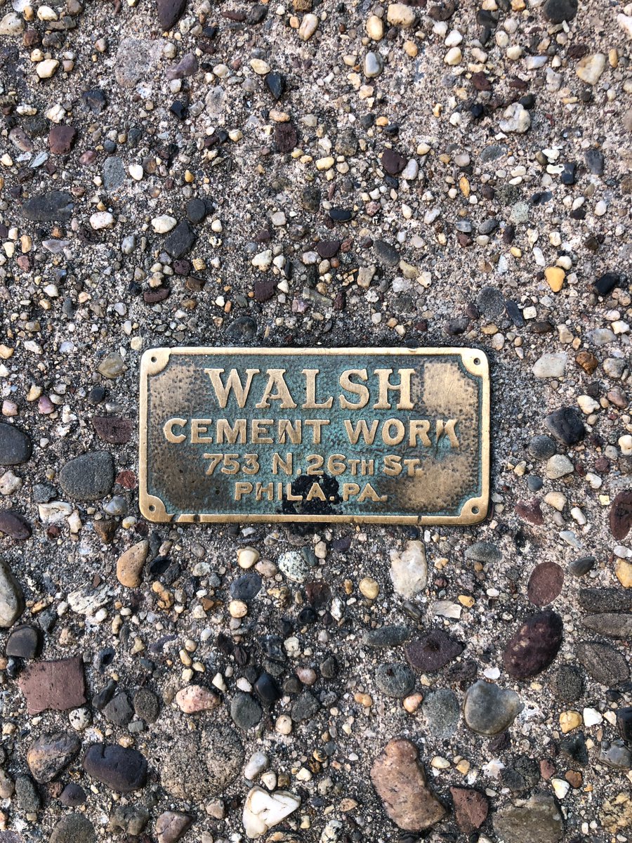 Dayan D'Aniello tweet media