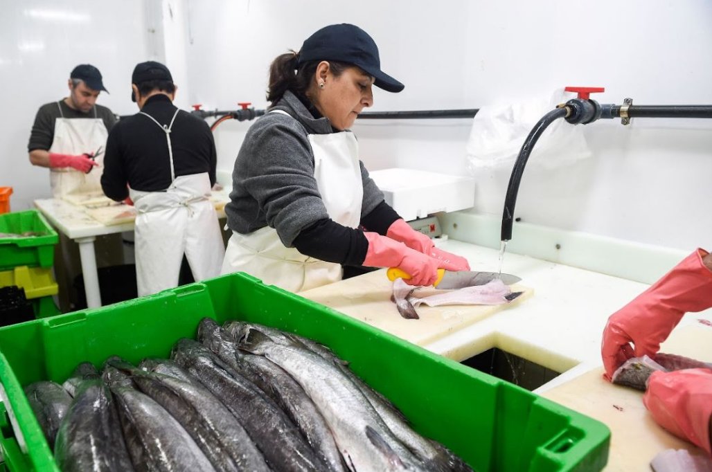 🔵Los XV Premios de Excelencia a la #Innovación para #MujeresRurales de @mapagob, reconocerán proyectos que utilicen tecnologías innovadoras en la pesca ✍🏼📅Hasta 8 abril ℹ@IPesqueras industriaspesqueras.com/noticia.php?id… #CofradíasDePescadores #SociosCEPES #CEPES #SomosEconomíaSocial